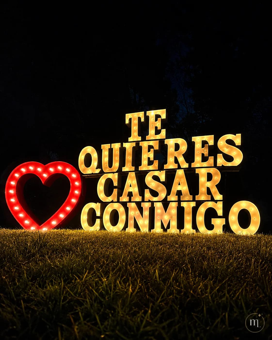 ¿TE QUIERES CASAR CONMIGO? encendido en el pasto de noche, con el corazón rojo al lado