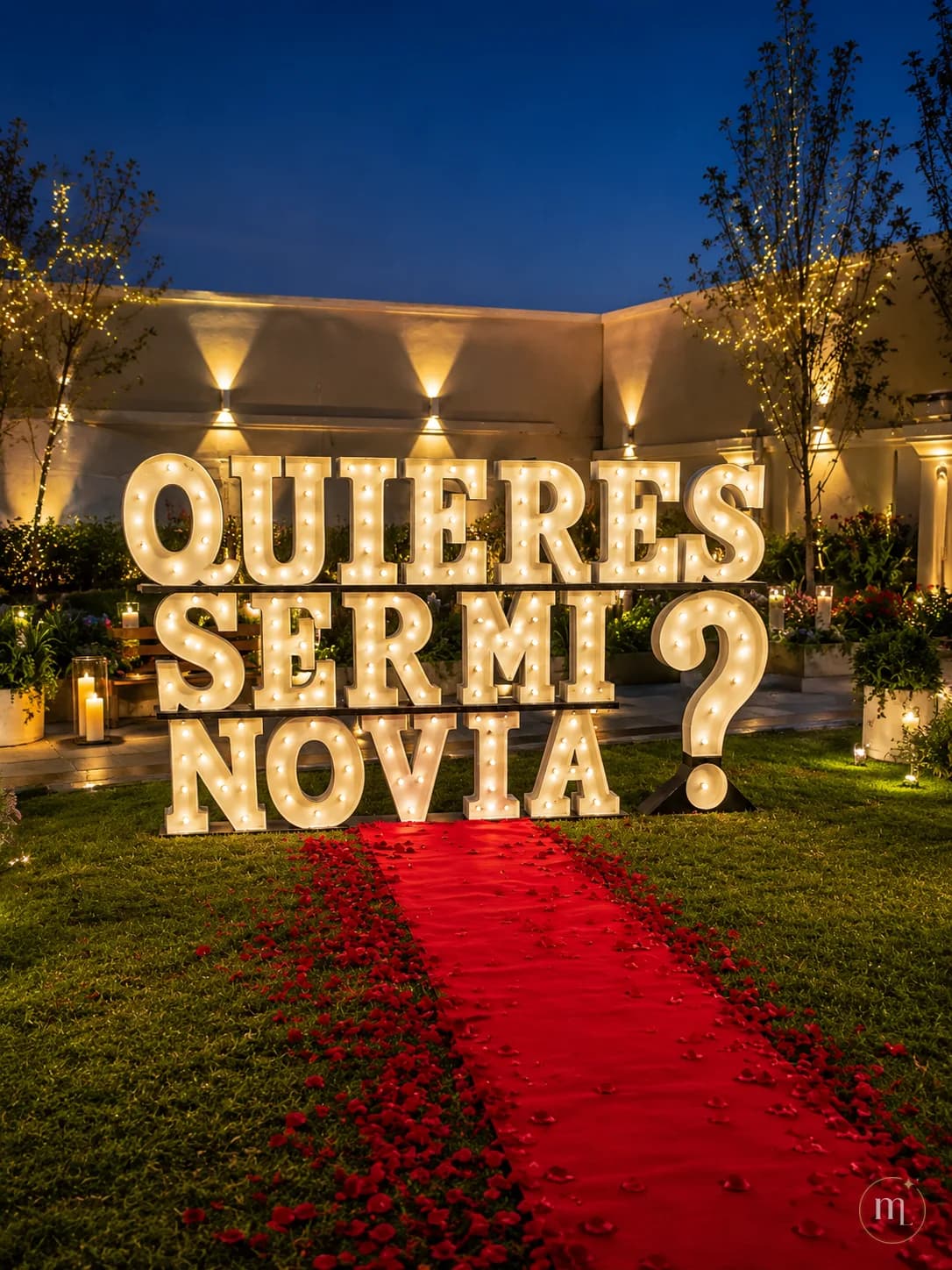 ¿QUIERES SER MI NOVIA? montado en un jardín de noche, sobre un camino de pétalos